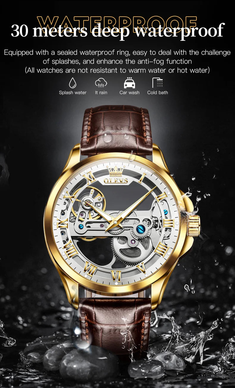 OLEVS Luxury Men's Automatic Mechanical Watch - Skeleton Design, Waterproof, Leather Strap