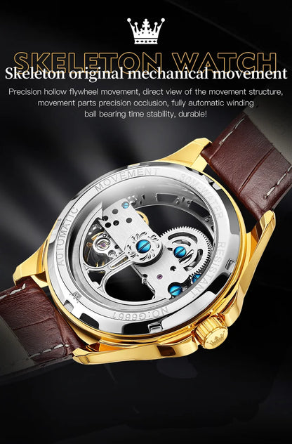 OLEVS Luxury Men's Automatic Mechanical Watch - Skeleton Design, Waterproof, Leather Strap